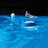 Intex Pool LED Light Floating Bluetooth Speaker